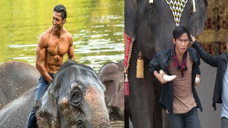 Vidyut Jammwal will work in Hollywood