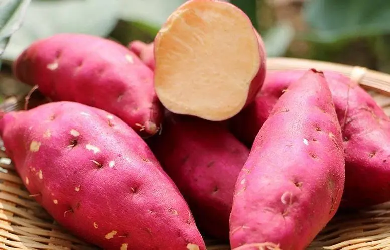 Benefits of eating sweet potatoes