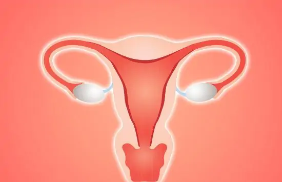 How to check if your uterus is healthy