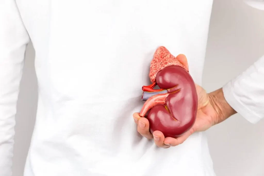 What are the symptoms of kidney failure?
