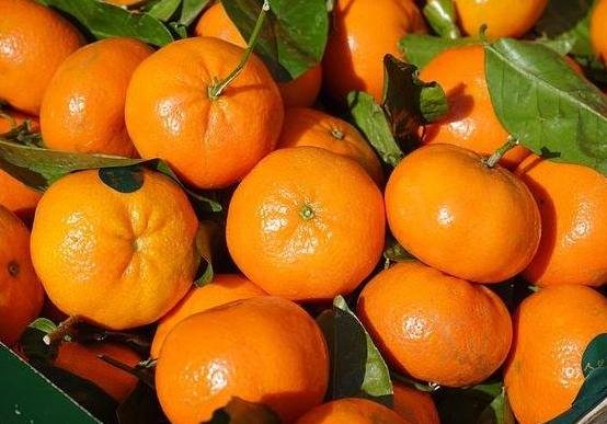 What are the benefits of eating oranges?