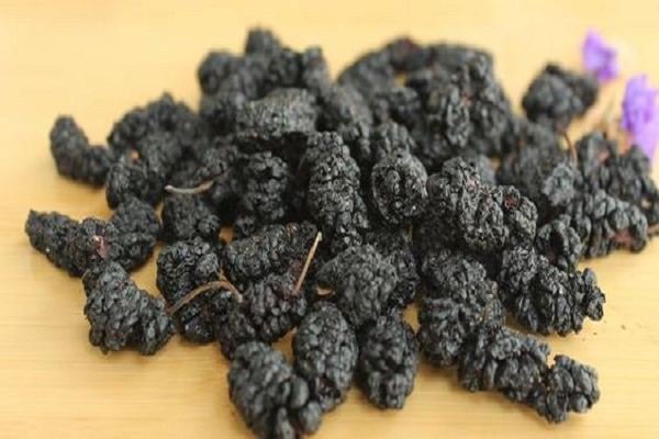 Benefits of mulberries for hair and beauty