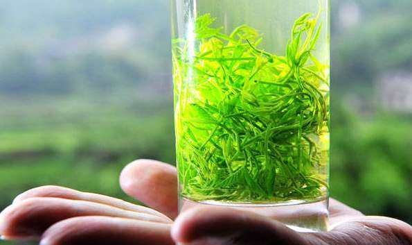 What are the benefits of drinking Gynostemma tea
