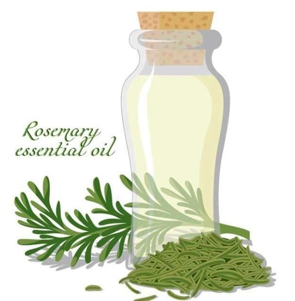  How to use rosemary oil for hair growth for men and women