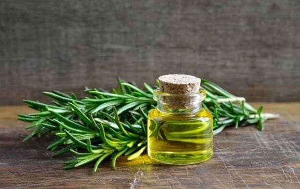 How to make rosemary oil for hair growth at home