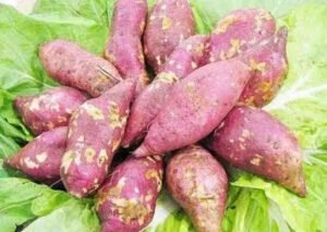 Sweet potatoes benefits and side effects