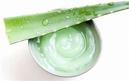 Benefits of applying aloe vera gel on face overnight