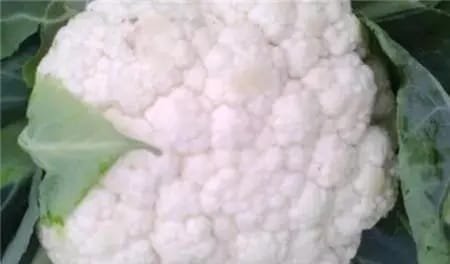 What are the benefits of eating cauliflower
