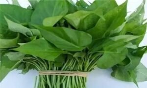 Benefits of sweet potato leave for women, 10 health benefits of sweet potatoes, health benefits of sweet potatoes leaves, sweet potato leaves benefits for skin, sweet potato leaves side effect, how to prepare sweet potato leaves for eating, benefits of sweet potato leaves in pregnancy, sweet potato leaves cancer,