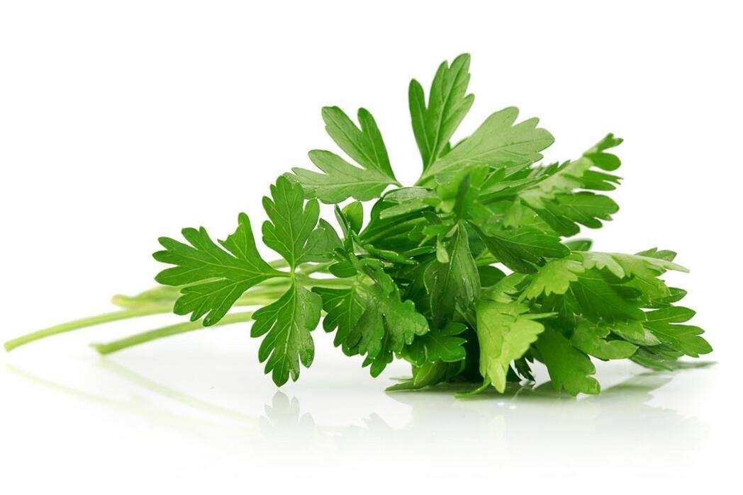 Who should not eat celery  leaves 
