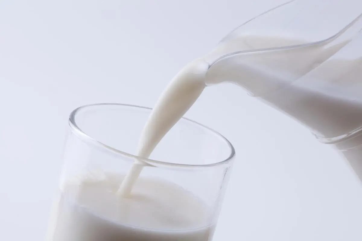 What are the contraindications to drinking milk