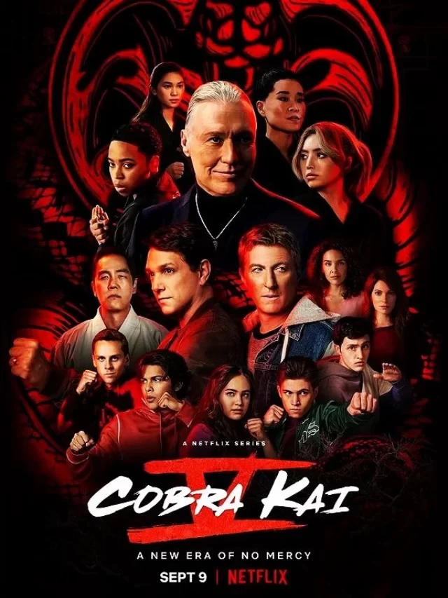 Cobra Kai Season 5 Hindi Dubbed